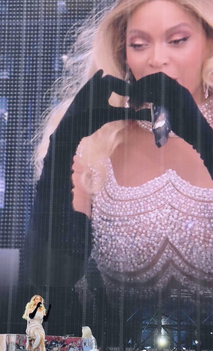 Rukia Kuchiki in Vinland Saga Explained, Addressing the Crossover Question